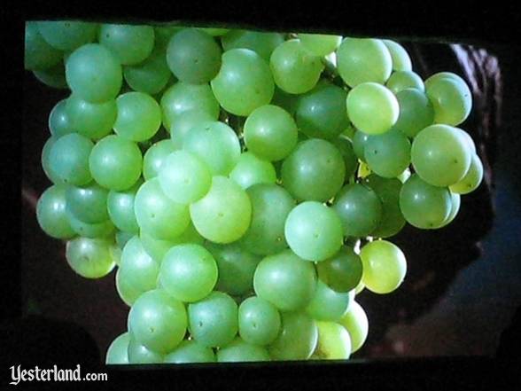 Scene from Seasons of the Vine, 3