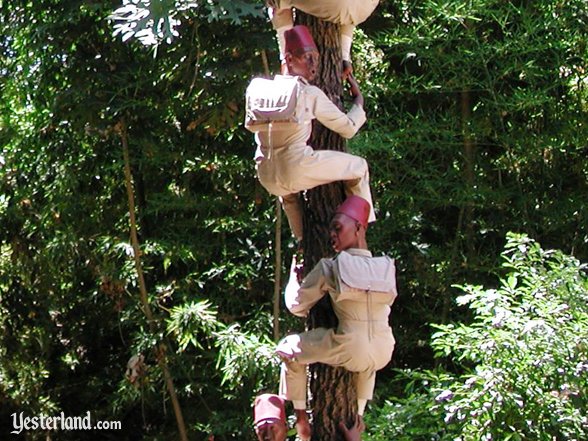 Jungle Cruise
