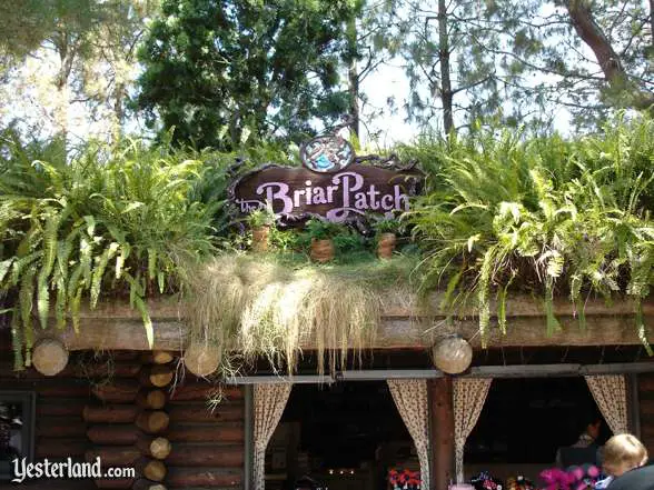 Briar Patch at Disneyland in 2005