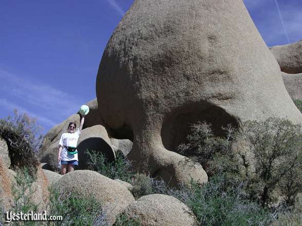 Photo of Skull Rock at Joshua Tree National Park