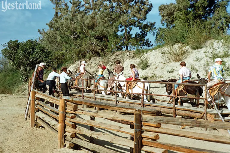 Rainbow Ridge Pack Mules