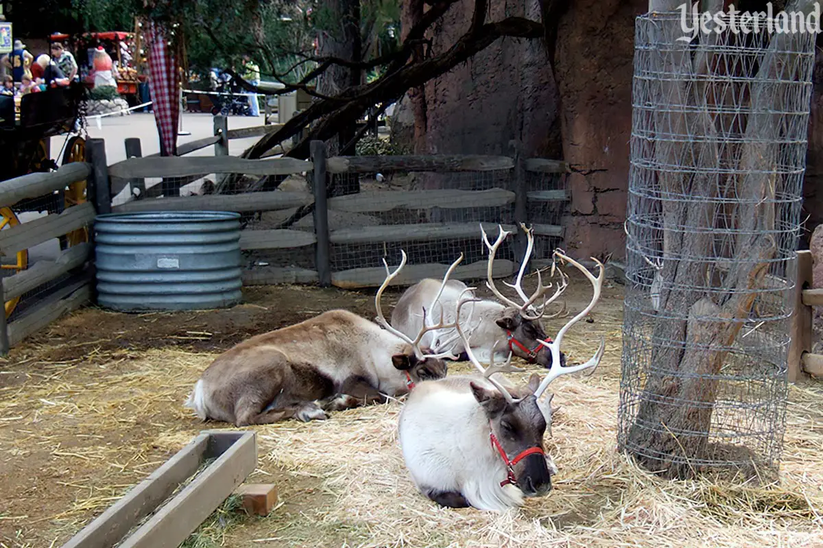 Happiest Turkeys on Earth and Santa's Reindeer Roundup at Disneyland