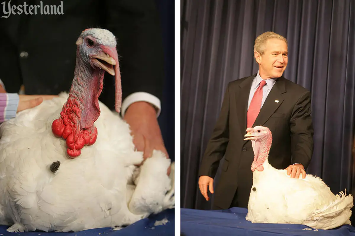 Presidential pardon of Thanksgiving turkey