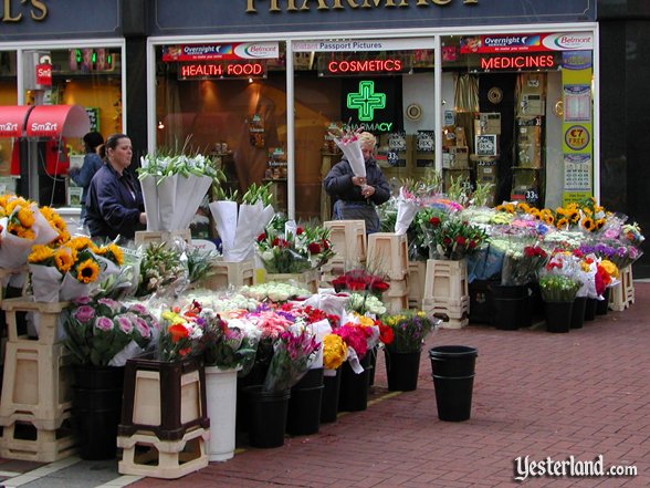 Photo of an outdoor flower market in Dublin, Ireland