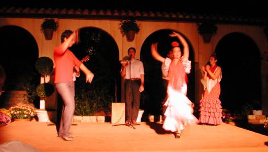 Photo of Flamenco dancers